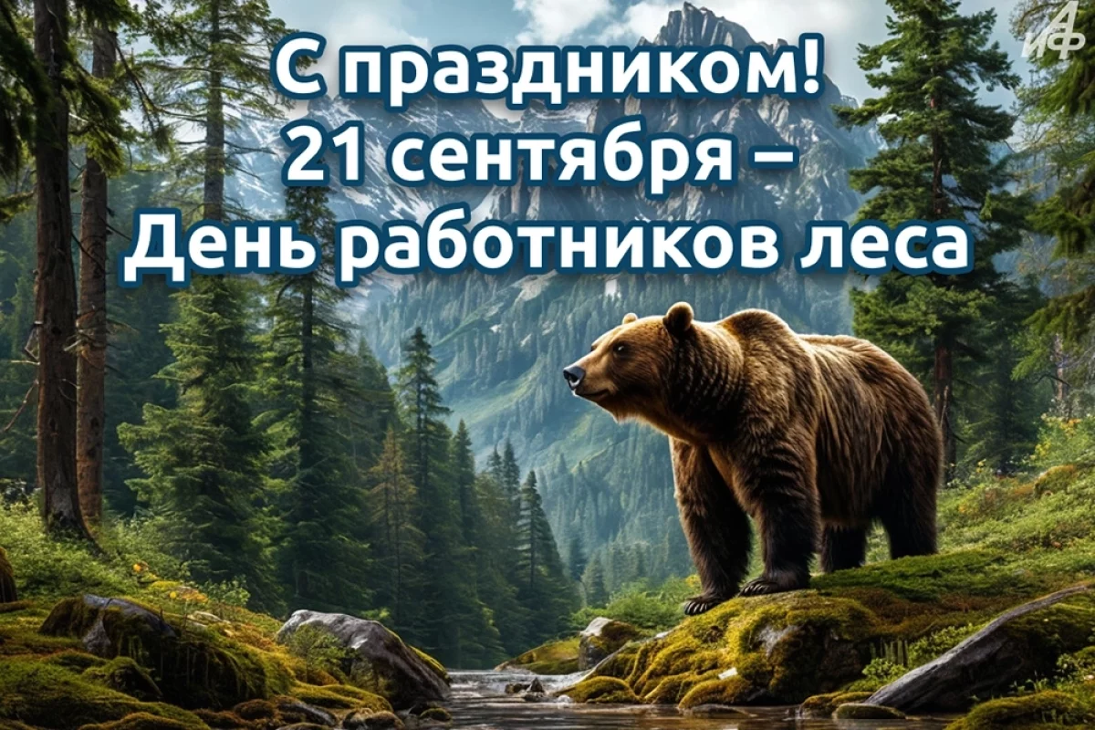 Read more about the article 20+ открыток с Днем работников леса. Яркие картинки и поздравления лесникам