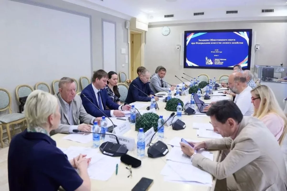 Read more about the article Акт есть — леса нет. Общественники обсудили беспредел золотодобытчиков