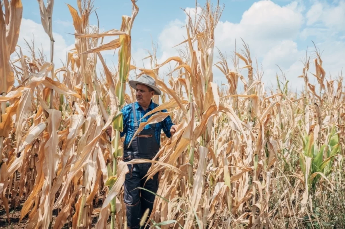 Read more about the article Страны третьего мира. Юшков раскрыл, что аномальная жара сделает с Европой
